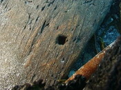NM48SE0045 e.jpg
