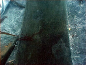 NM48SE0045 f.jpg