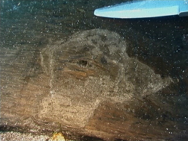 NM48SE0045 g.jpg