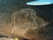 NM48SE0045 g.jpg