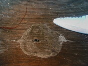 NM48SE0045 h.jpg