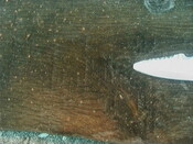 NM48SE0045 i.jpg