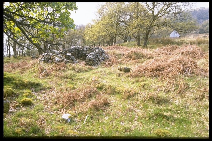 NM65NW0019 - House Footings, CarnLaith, Morvern 1.jpg