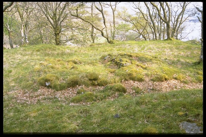 NM65NW0019 - House Footings, CarnLaith, Morvern 2.jpg