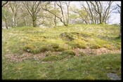 NM65NW0019 - House Footings, CarnLaith, Morvern 2.jpg