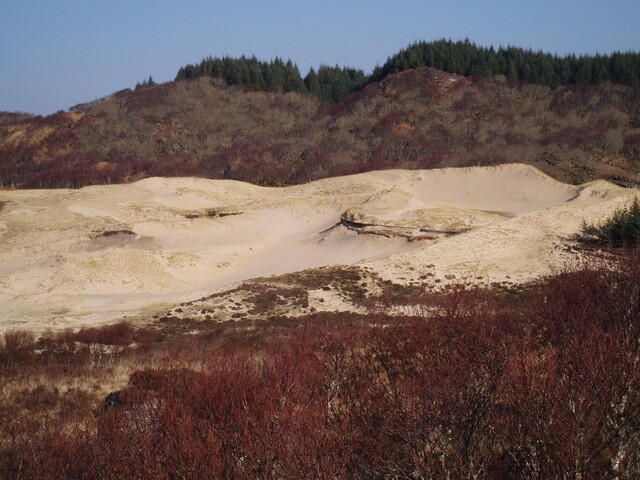 NM66NW0001B eroding dunes artefact scatter (march07) 2.JPG