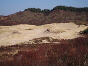 NM66NW0001B eroding dunes artefact scatter (march07) 2.JPG