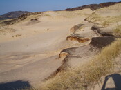 NM66NW0001B eroding dunes artefact scatter (march07) 4.JPG