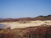 NM66NW0001B eroding dunes artefact scatter (march07).JPG