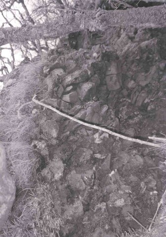 NM67SE0003.jpg