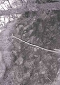 NM67SE0003.jpg