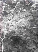 NM67SE0003a.jpg