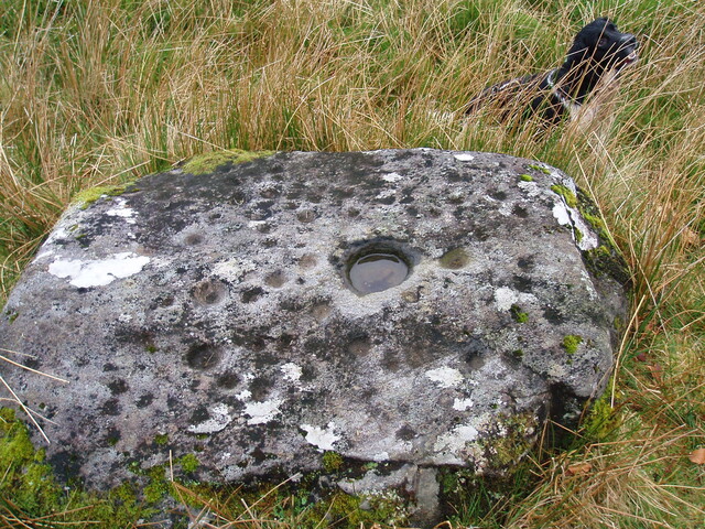 NM68SE0001 Gaodal cup-marked stone - dec06 2.JPG