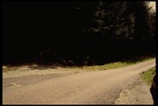 NM76NE0010 - Flint Scatter, Polloch 1.jpg
