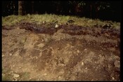 NM76NE0010 - Flint Scatter, Polloch 3.jpg