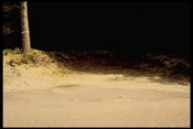 NM76NE0010 - Flint Scatter, Polloch 5.jpg