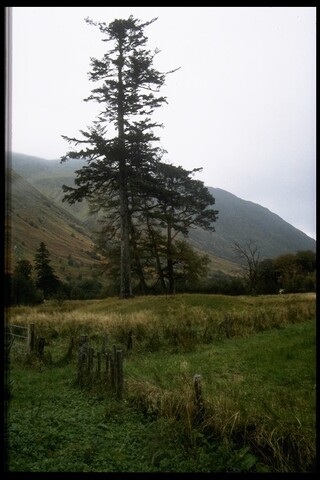 NN17SW0004 - Dun Dige 1.jpg