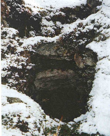 NN17SW0076.jpg
