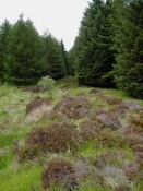 NN28SW0025 - view from NE.jpg