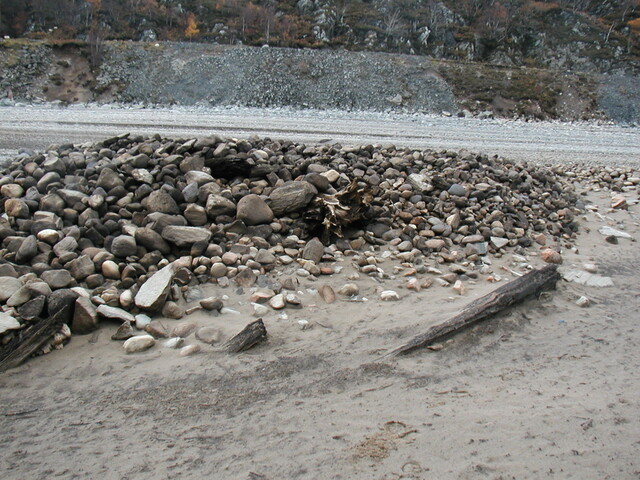 NN37NW0001- fallen timbers from east.jpg