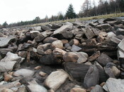NN37NW0001- timber platform from SW.jpg