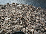 NN37NW0001-N end of timber platform.jpg