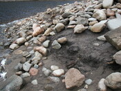 NN37NW0001-organic soil deposit, south side.jpg