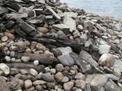NN37NW0001-parallel timbers, from N.jpg