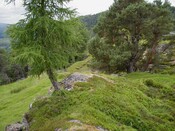 NN59SE0003 - view of turf-covered walling to S.jpg