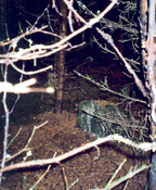 NN59SE0038a.jpg