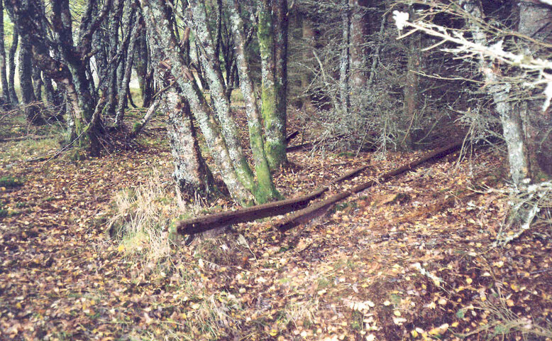 NN59SE0038b.jpg