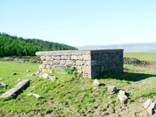 CNV00001.JPG