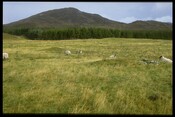 NN69NE0011 - Glenbanchor Round House, Field System.jpg