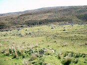 CNV00005.JPG