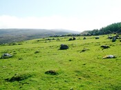 CNV00009.JPG