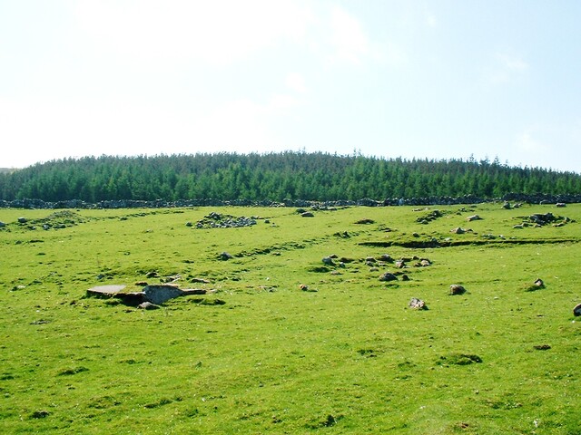 CNV00010.JPG