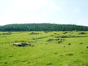 CNV00010.JPG