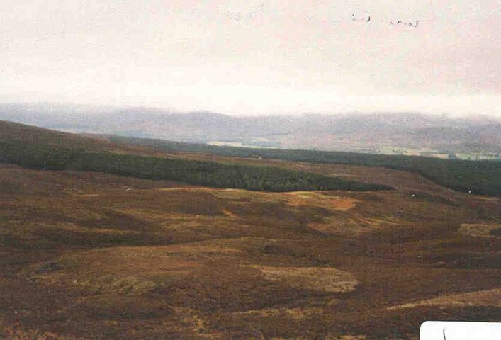 NN89NW0004b.jpg
