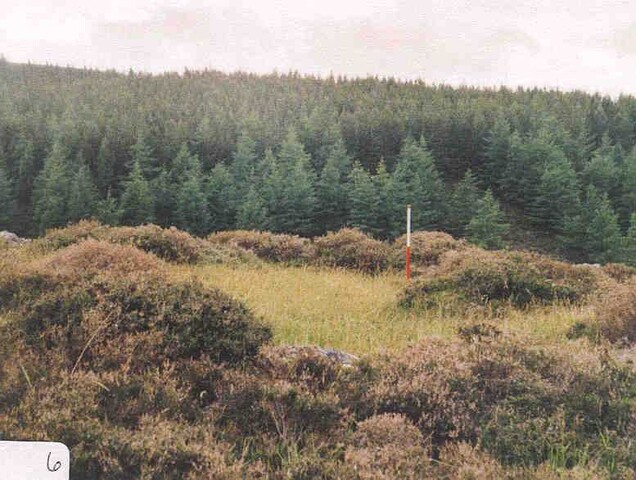 NN89NW0004d.jpg