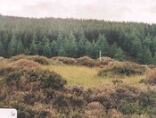 NN89NW0004d.jpg
