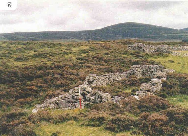 NN89NW0004e.jpg