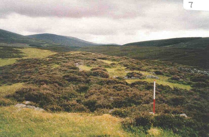 NN89NW0004g.jpg