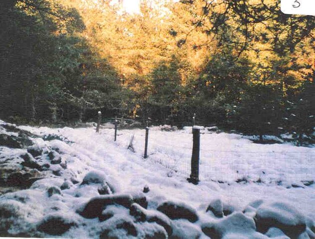 NN89NW0008a.jpg
