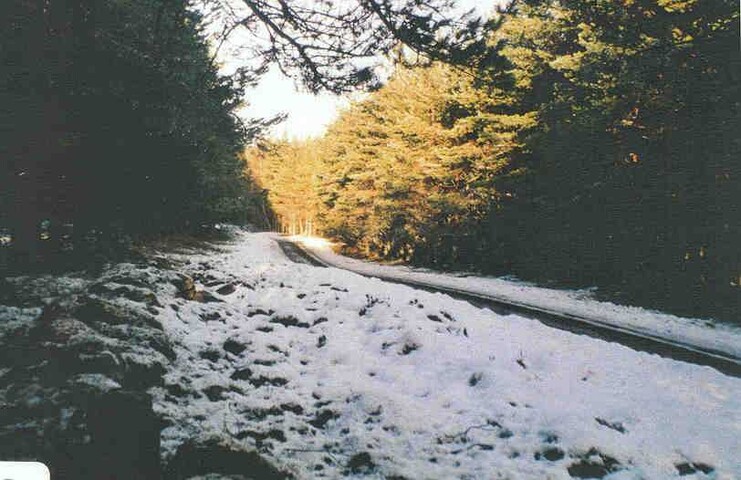 NN89NW0008b.jpg