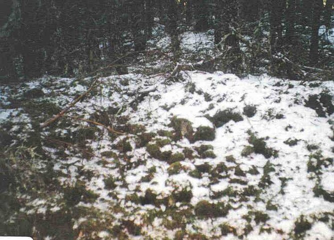 NN89NW0008d.jpg