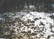 NN89NW0008d.jpg
