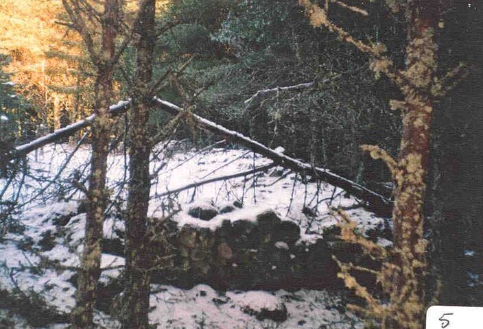 NN89NW0008f.jpg