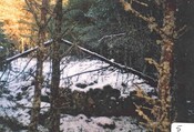 NN89NW0008f.jpg
