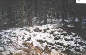 NN89NW0008g.jpg