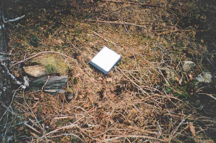 NN89NW0008i.jpg
